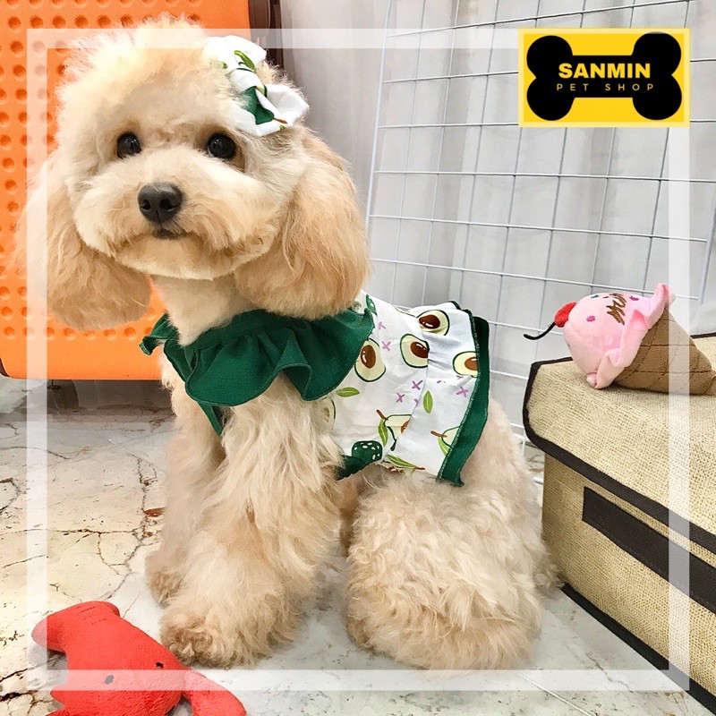 Áo croptop tay bèo cho thú cưng hinh trái bơ xinh SanminPet