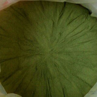 Bột thạch lá găng rừng 1kg