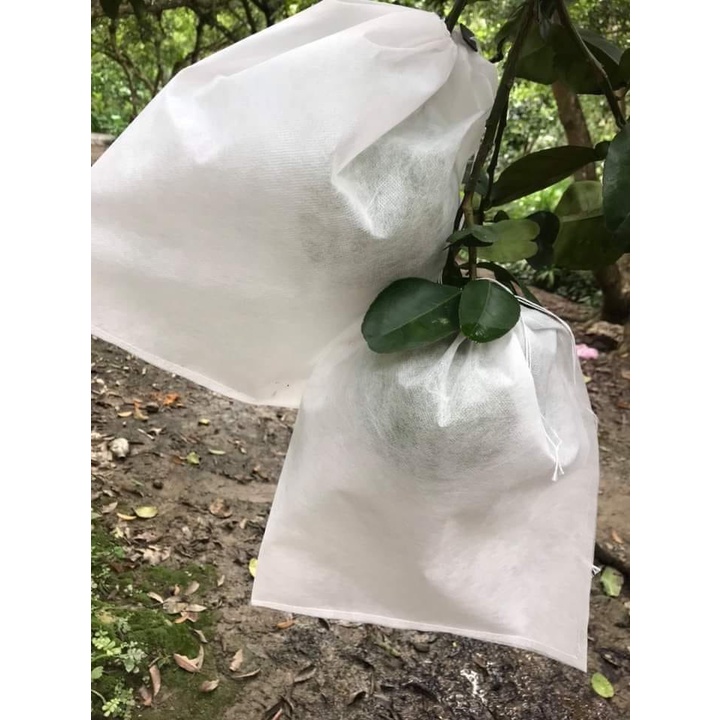 01 Túi Vải Bọc Bưởi 30*35cm