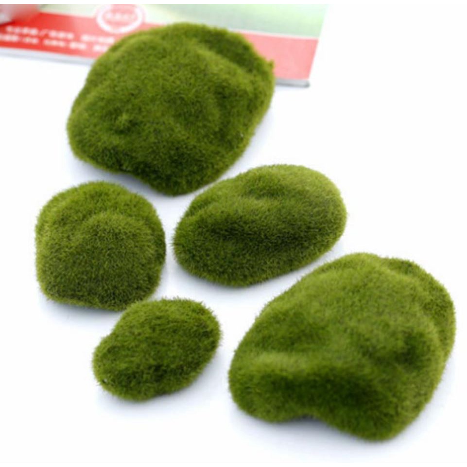 Tiểu cảnh rêu cục 3cm
