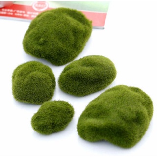 Tiểu cảnh rêu cục 3cm