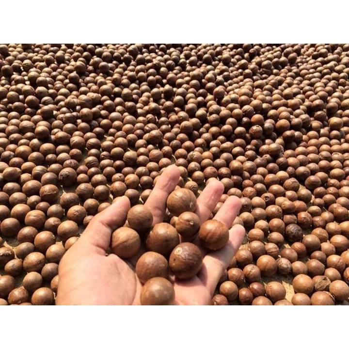[Gói 500g] Hạt Macca B'Lao sấy nứt vỏ loại đặc biệt. | BigBuy360 - bigbuy360.vn