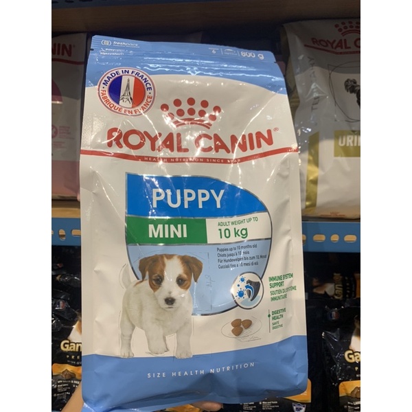 Hạt Royal Canin Mini Puppy - Thức Ăn Hạt Cao Cấp Cho Chó Con Giống Nhỏ