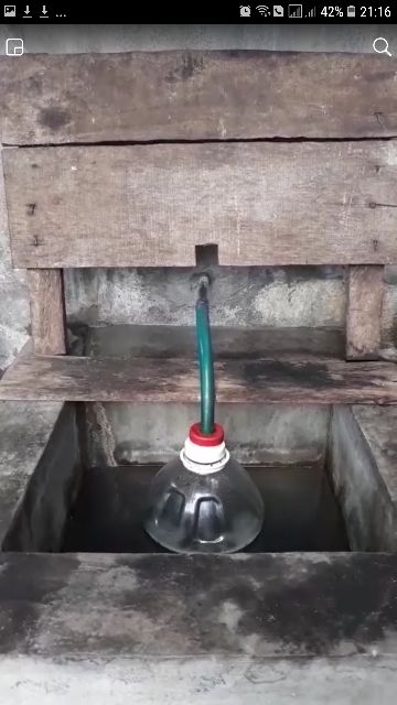 Tinh dầu Trầm Linh Đan 100ml  nguyên chất 100%