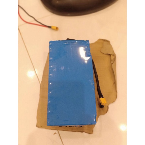 Pin xe điện 48v 10AH & 12AH