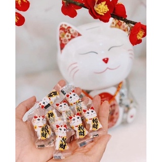 kẹo mèo thần tài socola