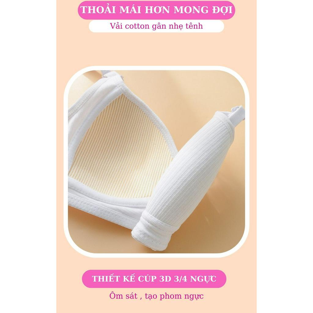 Áo lót nữ MIYOURS FASHION &amp; MORE AL365 cotton nâng ngực không đệm, mút mỏng nhẹ nhàng thoải mái