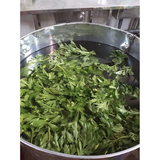 Bột cần tây sấy lạnh giảm cân