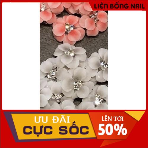 Hoa bột nail chân mẫu mới