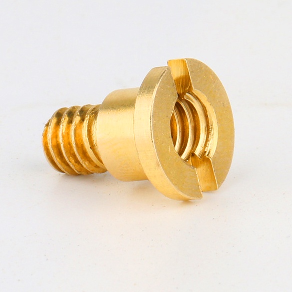 Ốc Halcase da máy ảnh - Ốc đồng