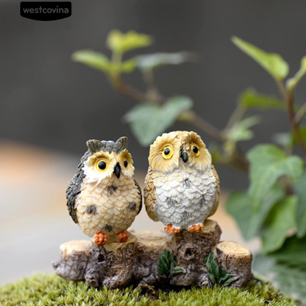 Mô Hình Cú Mèo Mini Trang Trí Đáng Yêu