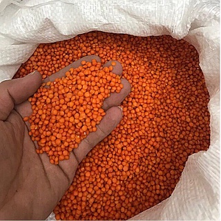 Đậu lăng xanh/đỏ nguyên hạt