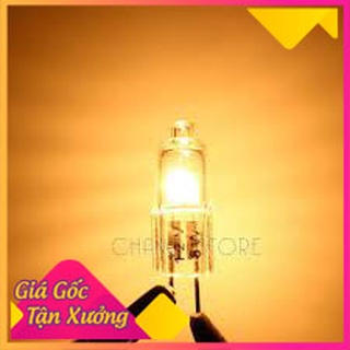 Bóng đèn sợi đốt halogen thay cho đèn xông tinh dầu