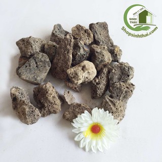1kg Đá nham thạch núi lửa - vật liệu lọc, trang trí bể cá