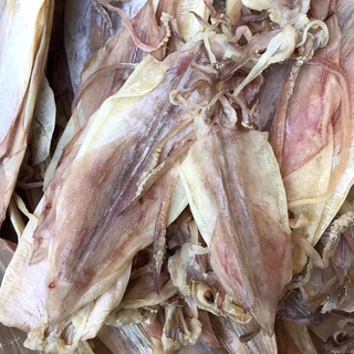 Mực Khô Câu (size 12-15 con/kg) - Lẻ 1 Con