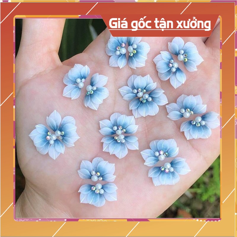 Hoa bột cúc ruby cánh nhọn MD SHOP hoa bột nail