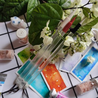 Set cọ Lục Phì Hồng Sấu {Dẫn Thuỷ Hiên}