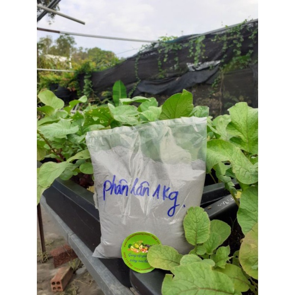 Phân Bón Supe Lân - Phân Lân 1kg ( Lân Lâm Thao)