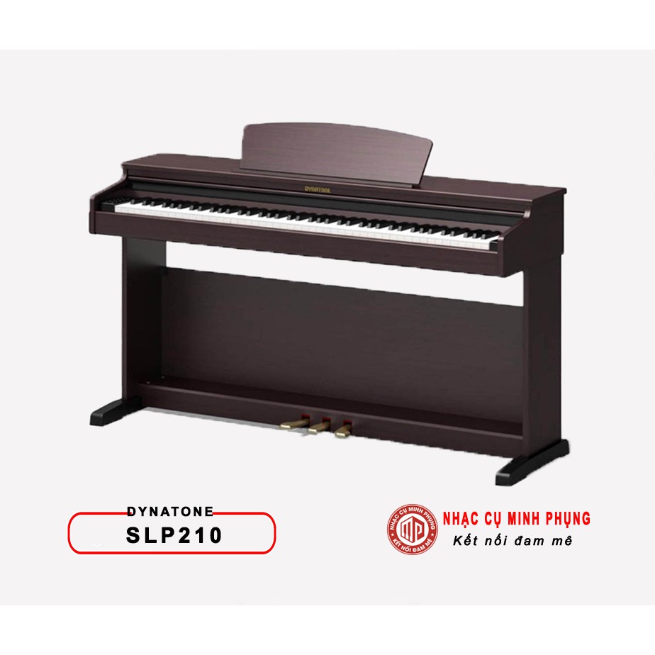 Đàn piano điện dynatone slp210