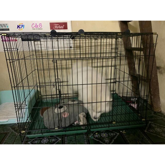 Chuồng chó mèo size lớn dành cho chó mèo 25 kg-tặng kèm khay vệ sinh