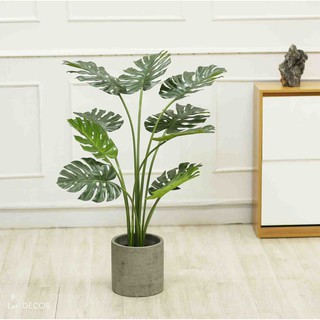 💥 cây giả - cây lá xẻ trang trí nhà ở, tiểu cảnh, ban công độc đáo cao 120cm - lc3024