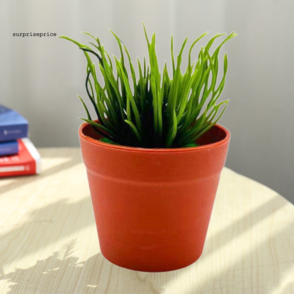 Chậu Cây Bonsai Giả Mini Bằng Nhựa Dùng Trang Trí Nhà Cửa/Văn Phòng