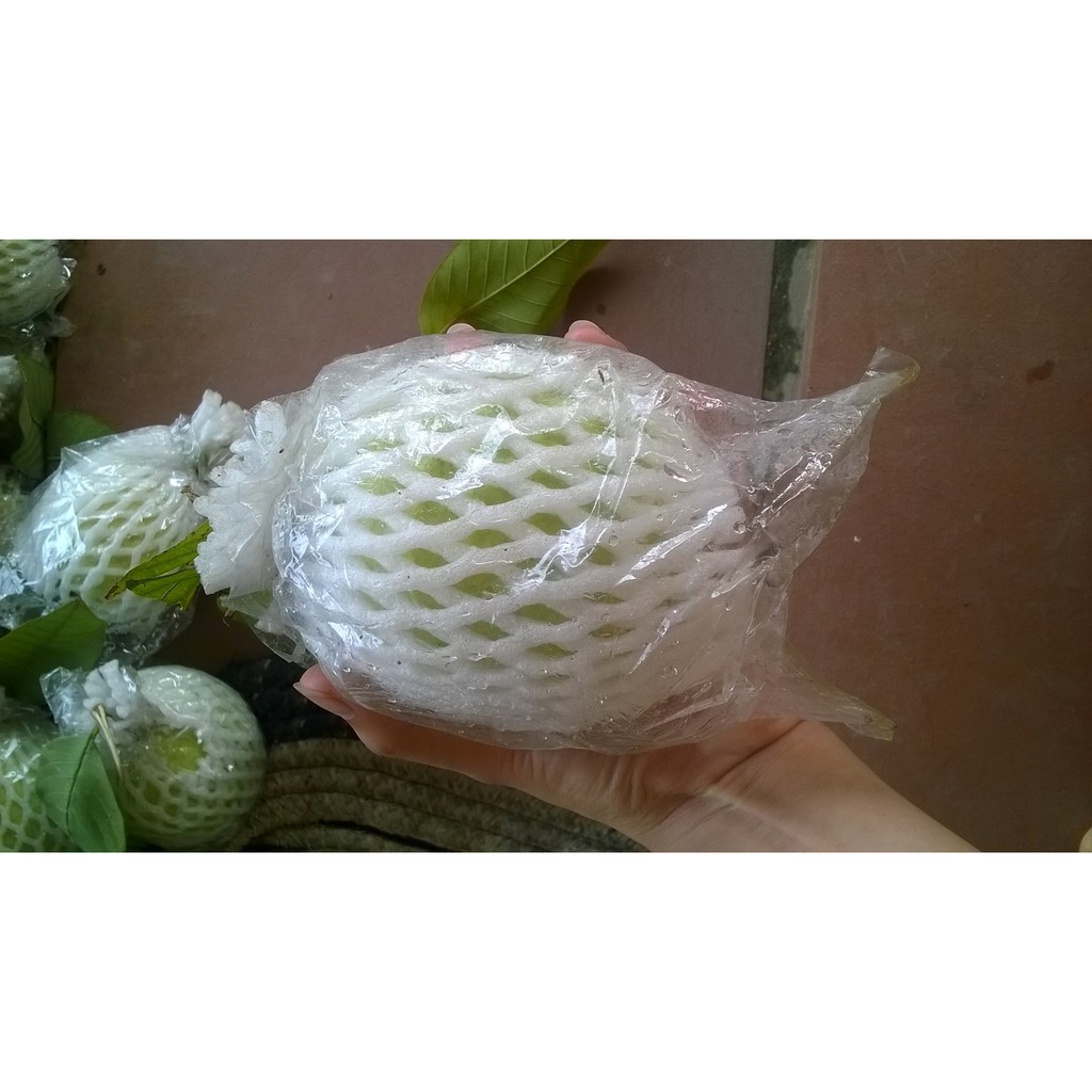 Ổi lê siêu sạch