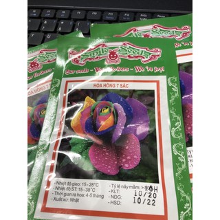 Hạt giống Hoa Hồng 7 sắc (Hoa Hồng Bẩy sắc) 10 H 🌱
