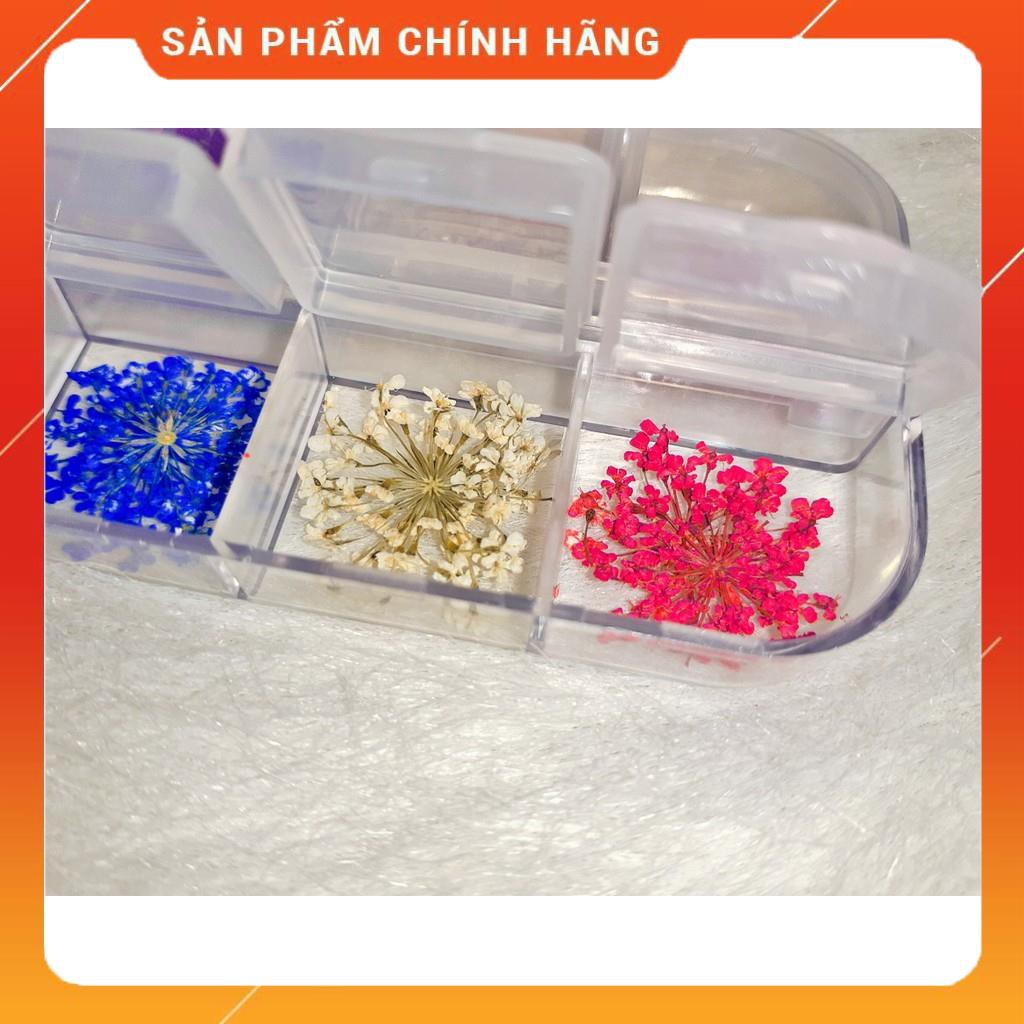 Set Hoa Khô Chùm Trang Trí Nail 12 Màu - Set Hoa Khô Chùm Trang Trí