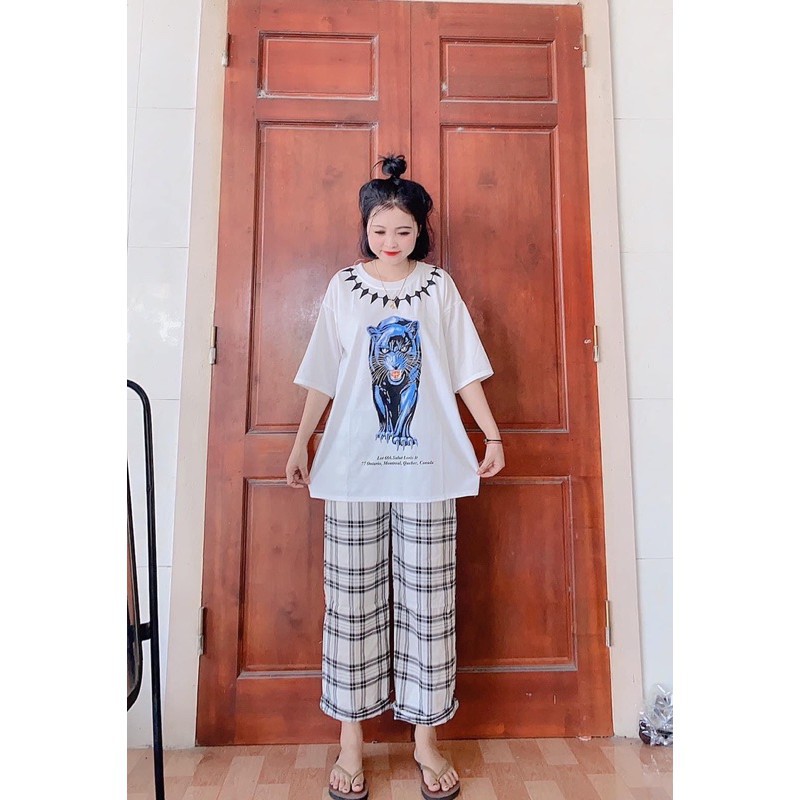 [Rẻ Vô Địch] Sét Bộ Áo Phông In Hình Quần Culottes Kẻ Ống Rộng 🦋FREESHIP🦋 Set Áo Thun Cộc Tay In Hình Hổ Kèm Quần Dài | BigBuy360 - bigbuy360.vn