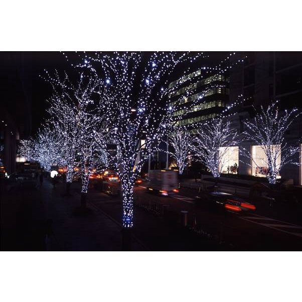 ⚡GIAO HỎA TỐC⚡ Dây đèn led trang trí gần 50m chống thấm ngoài trời - đèn trang trí quán Cafe, Noel..