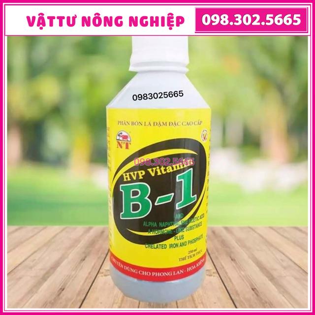 VITAMIN B1-HVP Phân bón lá đậm đặc cao cấp - 250ml