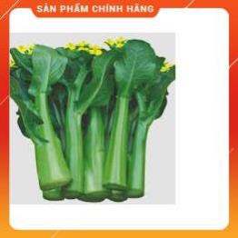 HẠT GIỐNG CẢI NGỒNG XANH THÂN MẬP