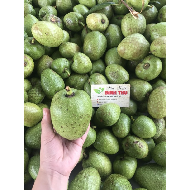 Quả Bình Bát tươi
