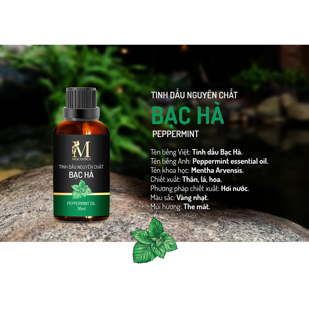 Tinh Dầu Bạc Hà Mocotics Chai 50ML | 100% Nguyên Chất | Xông Thơm Phòng | Tặng vỏ treo tinh dầu treo xe, tủ quần áo)