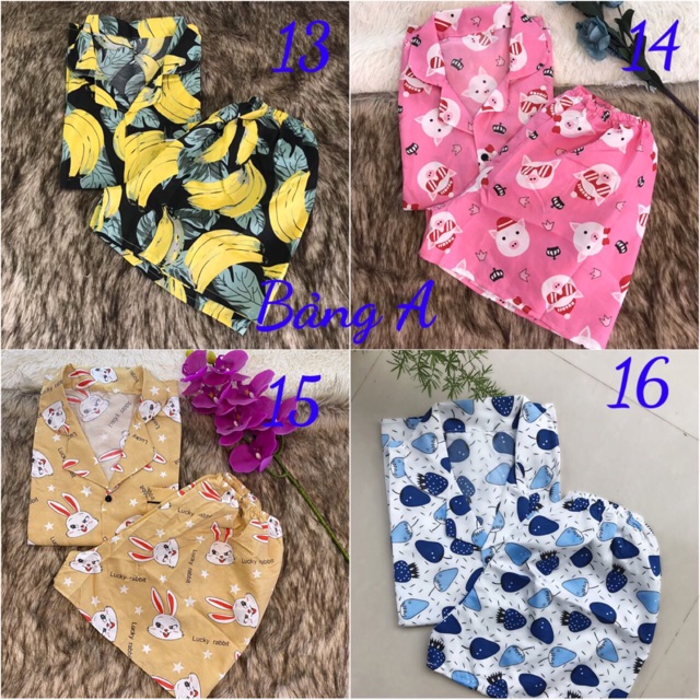 [Mã WA1606 giảm 15% đơn 99k] XẢ KHO Bộ kate thái tay ngắn quần cộc | BigBuy360 - bigbuy360.vn