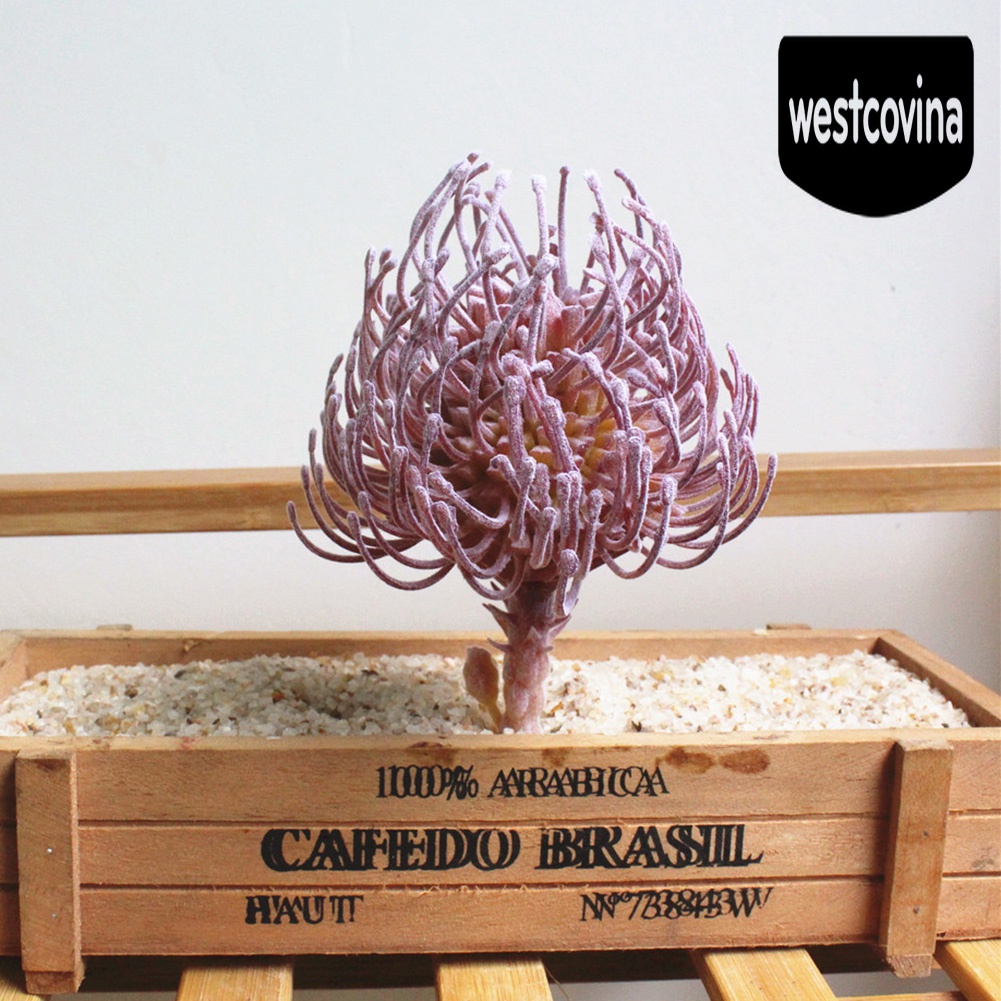 [Hot]☀ 1 Chậu Cây Bonsai Để Bàn Trang Trí