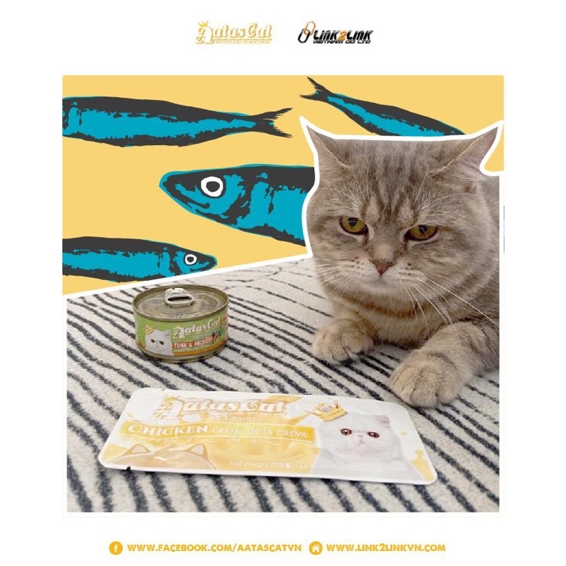 SÚP THƯỞNG AATAS CREAMY 16G CHO MÈO - Thức ăn dinh dưỡng thú cưng Gogi Meow Mart