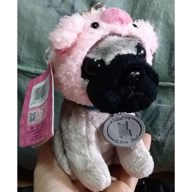 Gấu 50 con