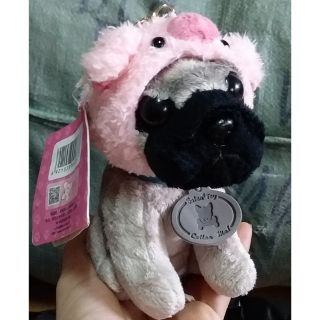 Gấu 50 con