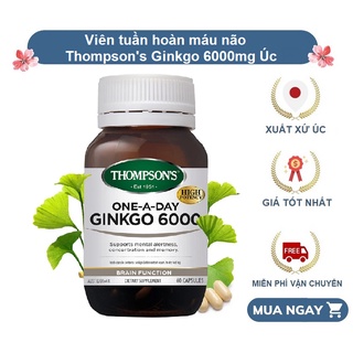Thompson Ginkgo 6000, bổ não và tuần hoàn não Thompson