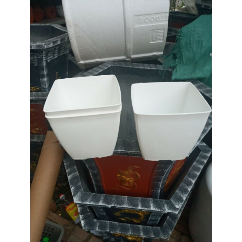 chậu nhựa trắng đẹp phi 16cm