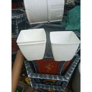 bộ 10 cái chậu siêu xinh phi 16cm