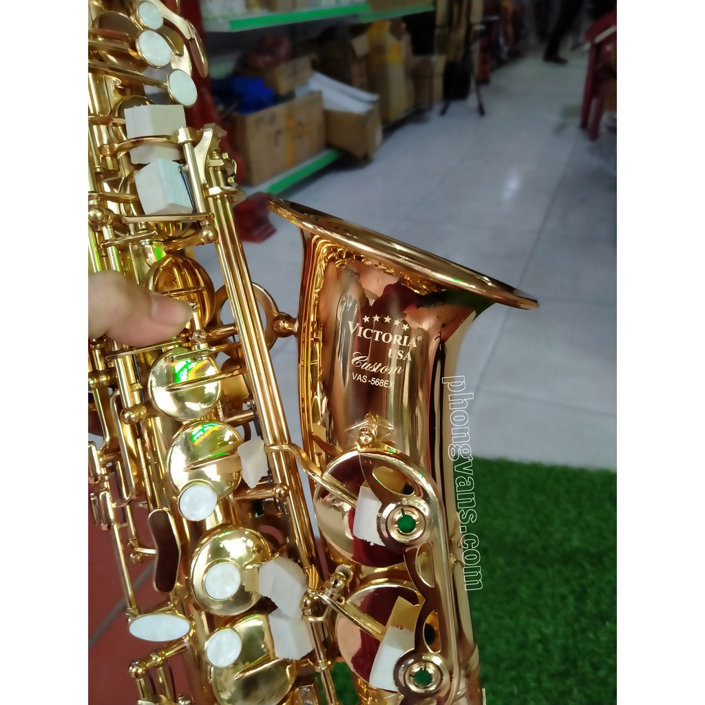 Kèn saxophone alto Victoria VAS-568EX màu vàng