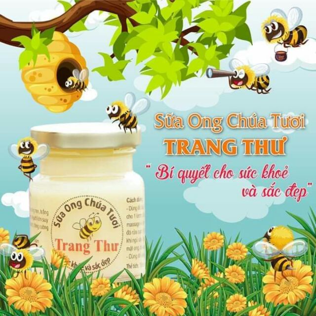 SỮA ONG CHÚA TƯƠI TRANG THƯ