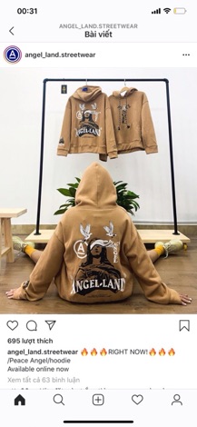 🌟 Hoddie Nỉ Angel