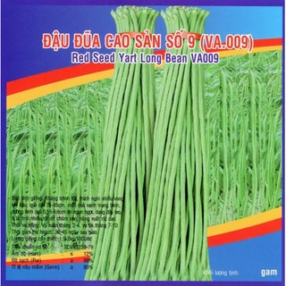 Đậu đũa cao sản số 9