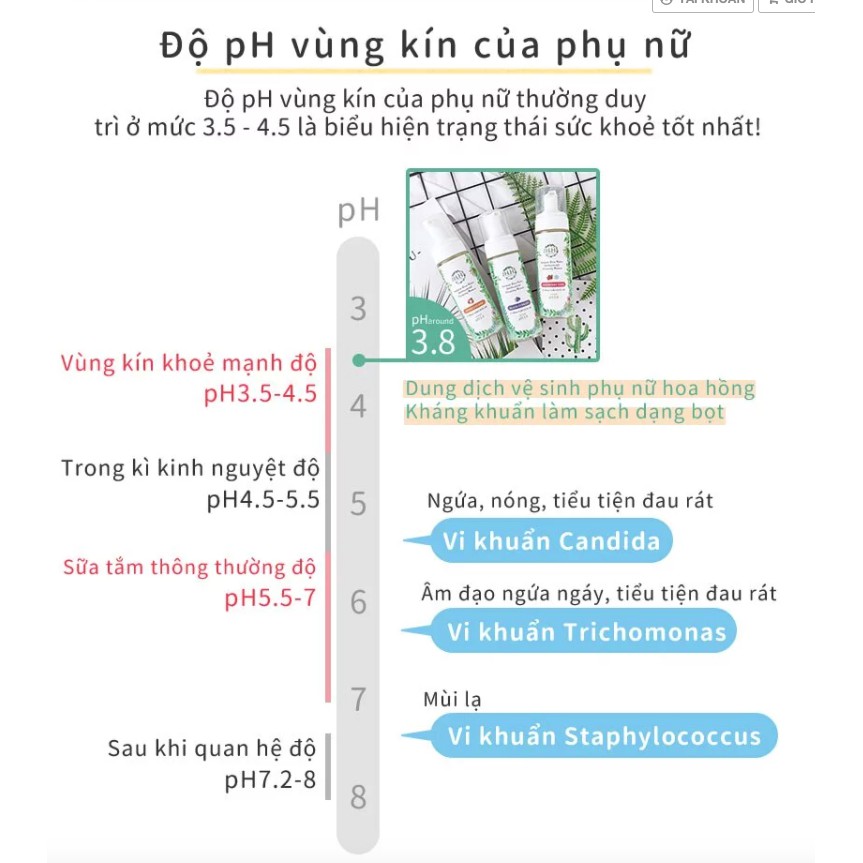 Dung Dịch Vệ Sinh Phụ Nữ Bảo Dưỡng Vùng Kín HH Dạng Bọt 180ml ( FREESHIP EXTRA )