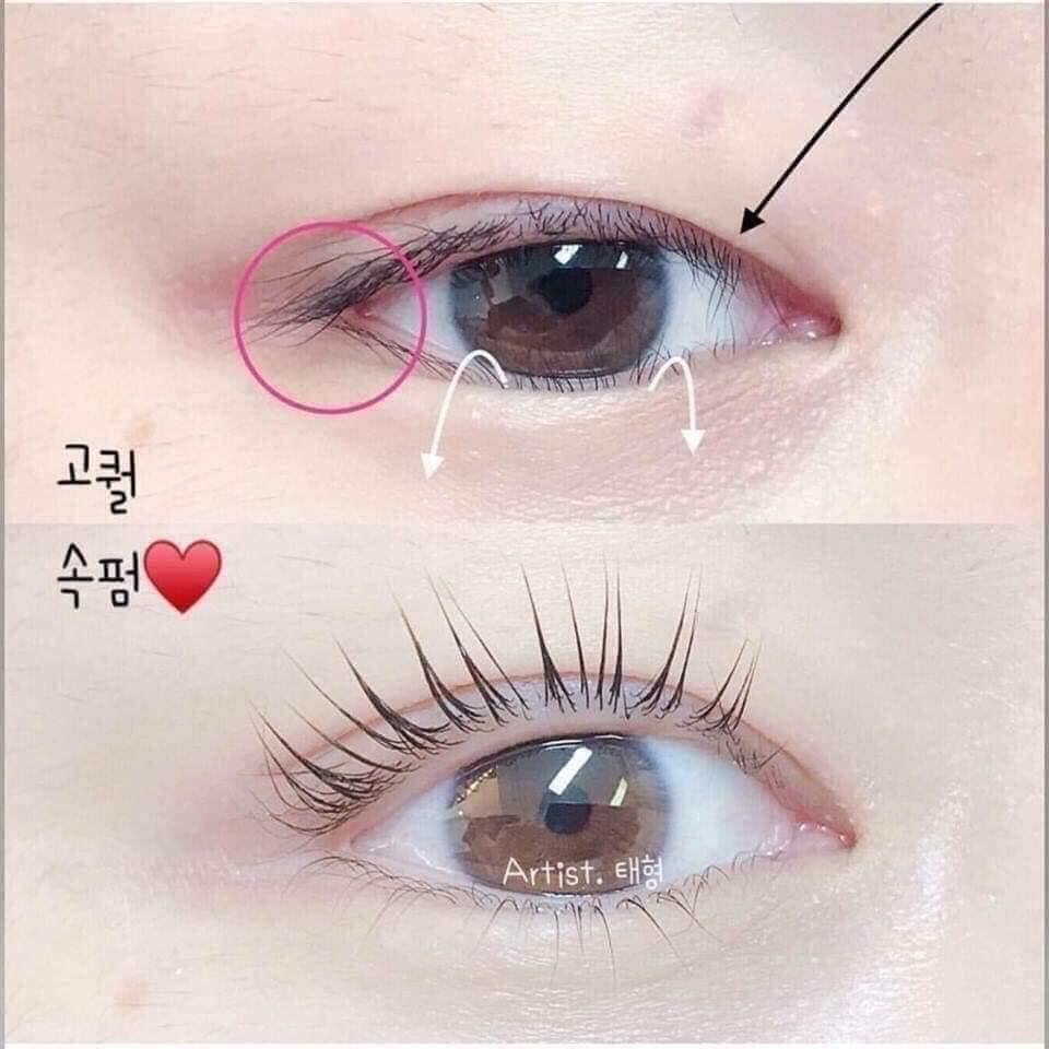 [Hàng trả order, không có dư] Mascara Missha The Style 4D