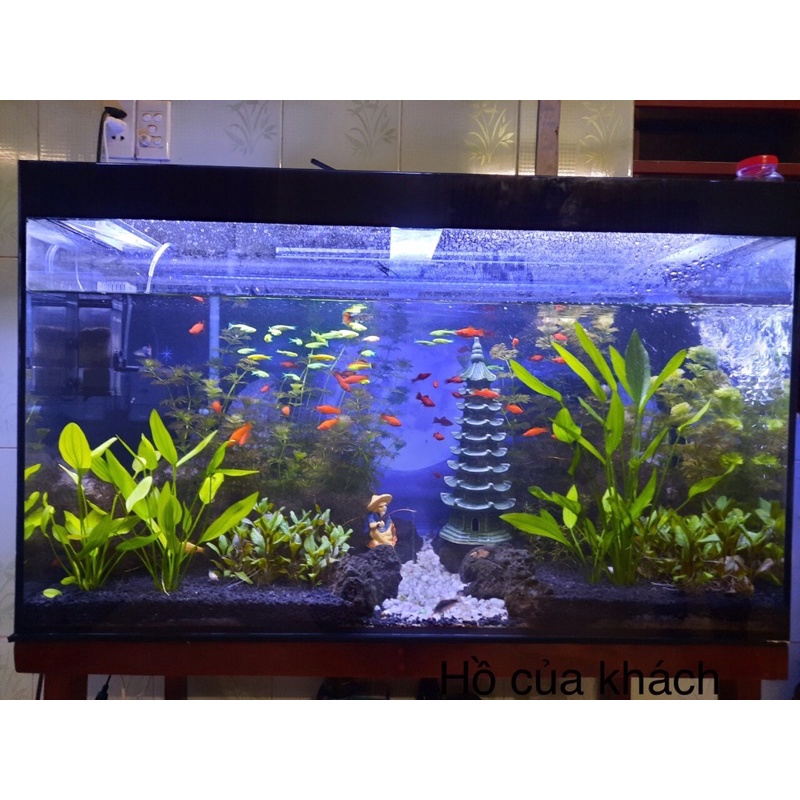 Đèn hồ cá thủy sinh 12v, máng nhôm, 2 dãy xanh dương + 1 dãy trắng